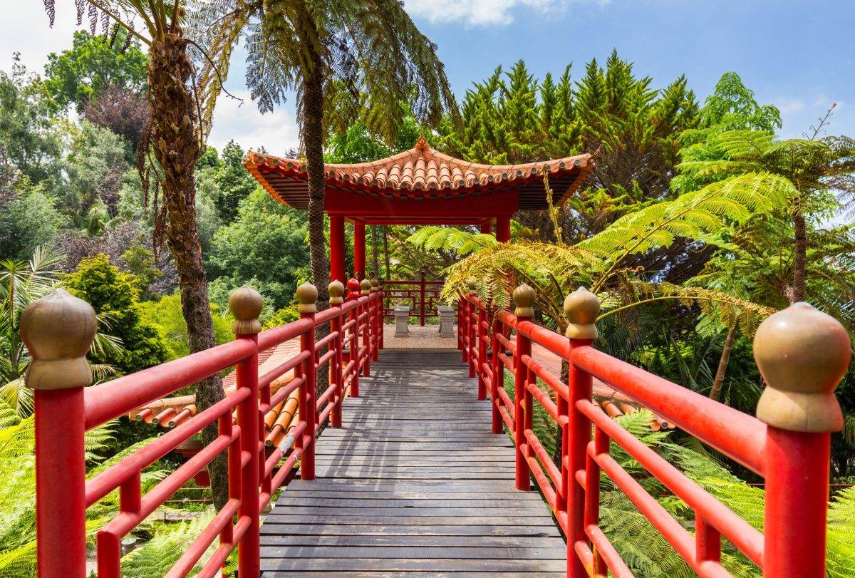 Excursiones por Madeira